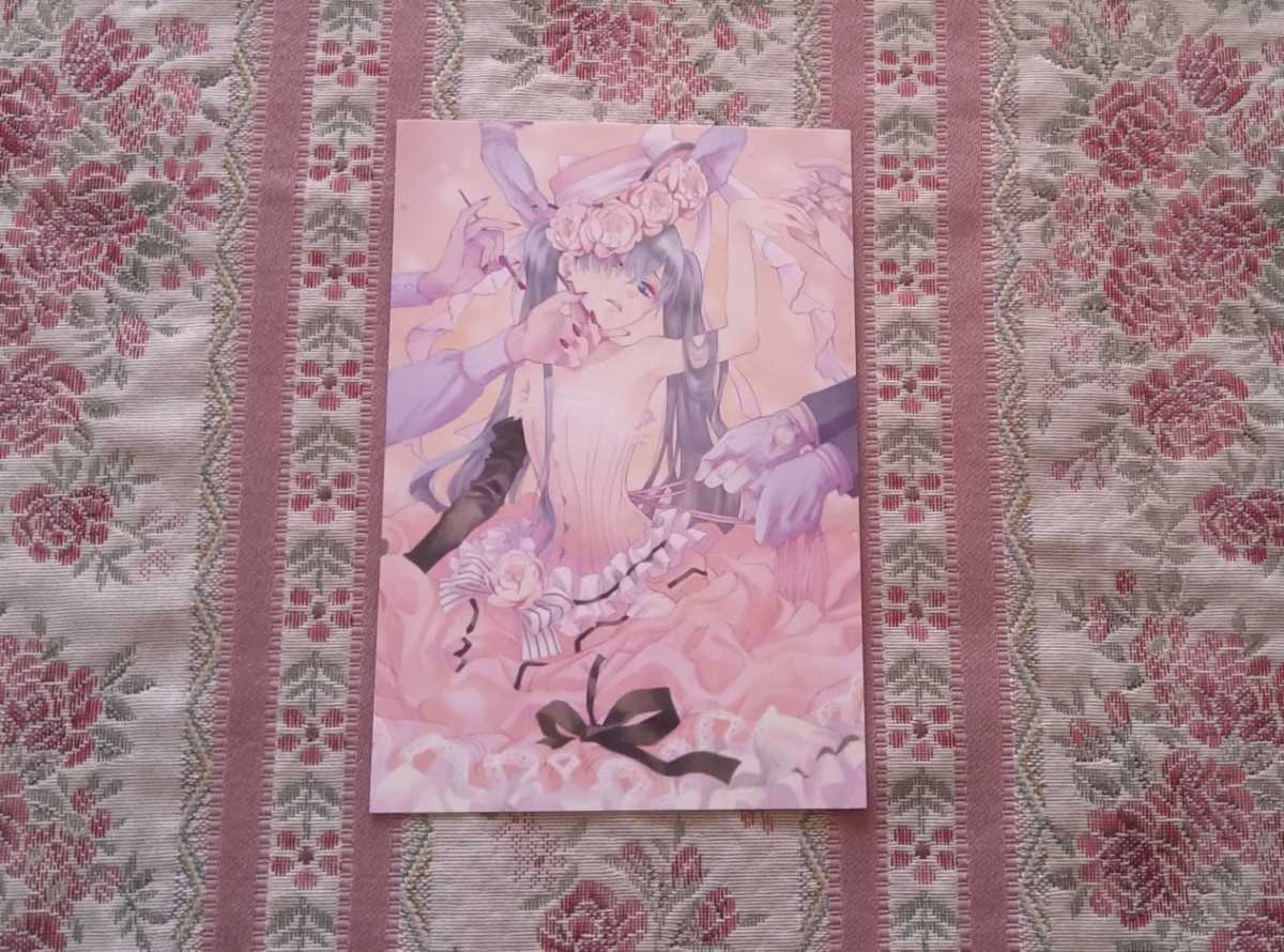 2023年最新】ヤフオク! -シエル 駒鳥の中古品・新品・未使用品一覧