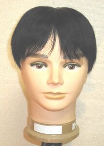  new commodity dividing eyes size free person wool part wig adjusted .25X20/