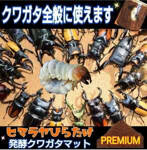 クワガタ全般に使えます！進化した！特選プレミアム3次発酵クワガタマット☆栄養添加剤・共生バクテリア・特殊アミノ酸3倍配合したプロ仕様