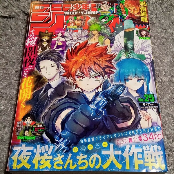 週刊少年ジャンプ2021年25号