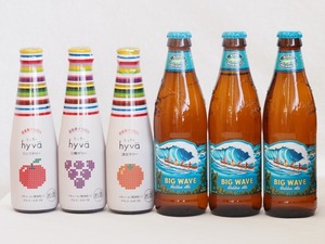  craft beer . liqueur 6 pcs set (hyuva apple sour alc.5%hyuva.. sour alc.5%hyuva Kiyoshi see sour alc.5% big u