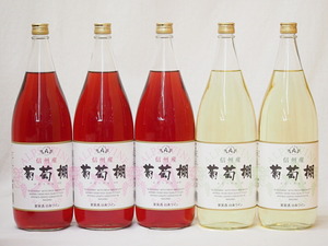  Shinshu production .. shelves set rose wine ×3ps.@ white wine × 2 ps middle .( Nagano prefecture )1800ml×5