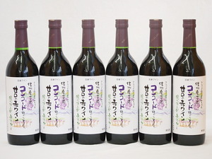 コンコード種から生まれた甘口の赤ワインセット 信州産100% 酸化防止剤無添加(長野県)720ml×6