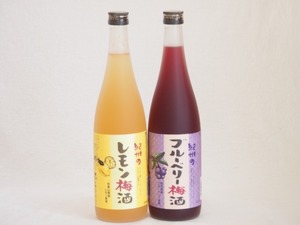  fruit plum wine 2 pcs set ( Iwate prefecture production blueberry plum wine Wakayama prefecture production lemon plum wine ) 720ml× 2 ps 