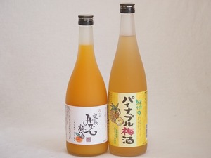 果物梅酒2本セット(沖縄県産パイナップル梅酒 有田完熟みかん梅酒) 720ml×2本