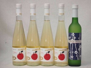  Kyoto Tanba fruit wine 5 pcs set Kyoto blue . plum ... 1 pcs Cider Aomori Hirosaki production apple use 4ps.@ total 500ml×5ps.