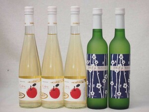  Kyoto Tanba fruit wine 5 pcs set Kyoto blue . plum ... 2 ps Cider Aomori Hirosaki production apple use 3ps.@ total 500ml×5ps.