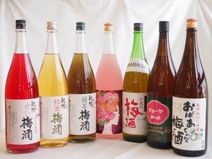 こんな梅酒福袋が欲しかったぁ 飲み比べ7本セット（中野BC 赤い梅酒 緑茶梅酒 蜂蜜梅酒 小正の梅酒 中埜酒造 おばあちゃん 中