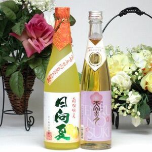 夏みかんと梅のお酒セット 宮崎産日向夏みかん使用 日向夏 500ml×２本