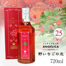 リキュールおすすめ2本セット（本格梅酒・野いちごの恋）720ｍｌ×2本_画像5