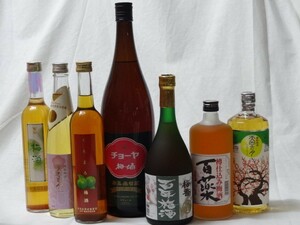 こんな梅酒福袋が欲しかったぁ 7本セット (百助梅酒 天空の月 樽熟梅酒 くちまろ梅酒 チョーヤ梅酒 梅香 百年梅酒 三年貯蔵