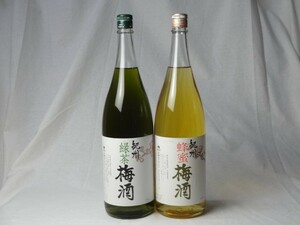 こんな梅酒福袋が欲しかったぁ 飲み比べ2本セット（中野BC 緑茶梅酒 蜂蜜梅酒） 1800ml×2本