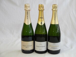 スパークリングワイン白辛口3本セット ハウメ・セラ ブリュット スペインスパークリングワイン750ml・エレタット・エル・パドル