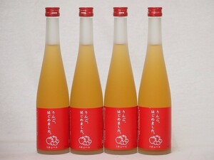 . cape apple plum wine apple, start did ( Fukuoka prefecture )500ml×4ps.
