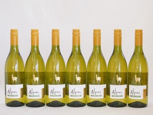 7 pcs set ( Chile white wine alpaca car rudone* semi yon( Chile )) 750ml×7ps.