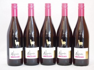 5 pcs set ( Chile red wine alpaca Pinot *nowa-ru) 750ml×5ps.