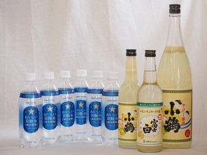 家のみ本格酎ハイ9本セット(サッポロおいしい炭酸水ペット 小鶴 サワー専用ゆずレモン 25度 富士白レモンチューハイの素 25度) 500ml×6本