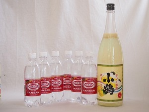 家のみ本格酎ハイ7本セット(ウイルキンソンタンサン 炭酸水ペット 小鶴 サワー専用ゆずレモン 25度) 500ml×6本 1800ml×1本