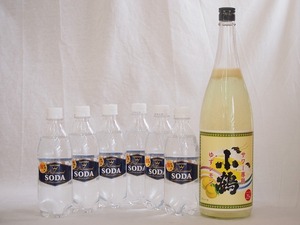 家のみ本格酎ハイ7本セット(サントリーソーダ 強炭酸水ペット 小鶴 サワー専用ゆずレモン 25度) 490ml×6本 1800ml×1本