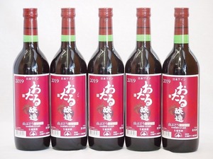 5本セット(北海道産100%赤ワイン 生葡萄酒 山ぶどう alc.10%やや甘口) 720ml×5本