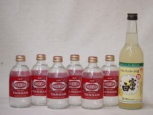 家のみ本格酎ハイ7本セット(ウイルキンソンタンサン 炭酸水瓶 富士白レモンチューハイの素 25度) 500ml×6本 600ml×1本