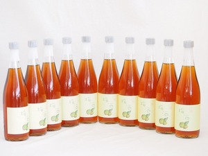 10 pcs set ( plum wine writing warehouse 18 times ( Kumamoto prefecture )) 720ml×10ps.