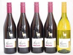  Chile production wine alpaca 5 pcs set ( red sila-( full body ) white car rudone* semi yon(..)) 750ml×5ps.