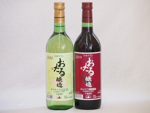 おたるスペシャル2本セット(おたる醸造 生葡萄酒 山ぶどう やや甘口 おたる醸造 デラウェア 生葡萄酒 やや甘口) 720ml×2本