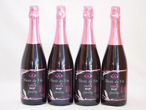 4 pcs set ( Nagano prefecture production 100%.. Sparkling rose wine or sismyuzedu Van black Queen pink ) 750ml×4ps.