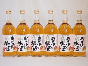 紀州産南高梅100％ おばあちゃんの梅酒 中埜酒造 720ml×6