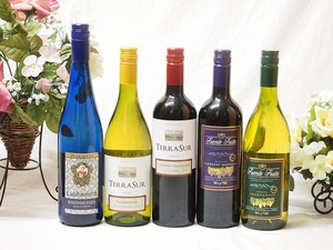  wine set selection Germany × selection Chile wine 5 pcs set ( red 2 ps, white 3ps.@).750ml×5ps.