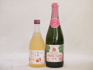  domestic production apple sake 2 pcs set ( semi sweet Apple ( a little ..) Shinshu. apple wine ) 750ml× 1 pcs 500ml× 1 pcs 