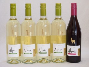  Chile production wine alpaca 5 pcs set ( red Pinot *nowa-ru( medium body ) white so- vi niyon* Blanc (..)) 750ml×5ps.