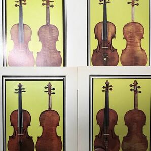 36 Famous Italian Violins イタリア/ヴァイオリン/カタログ/洋書/弦楽器/バイオリン/専門書の画像3