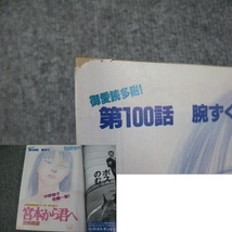 FSLe1993/04/29；週刊モーニング/新井英樹/かわぐちかいじ/藤嵜ヒトシ/高橋のぼる/さだやす圭/わたせせいぞう/福島聡/東海林秀明_画像2