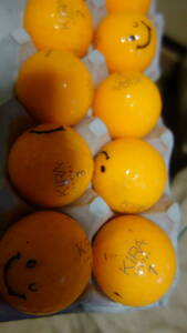 KIRA Ladies オレンジ　10個 　キラ　レディス　2012年　橙　Kasco キャスコ 1