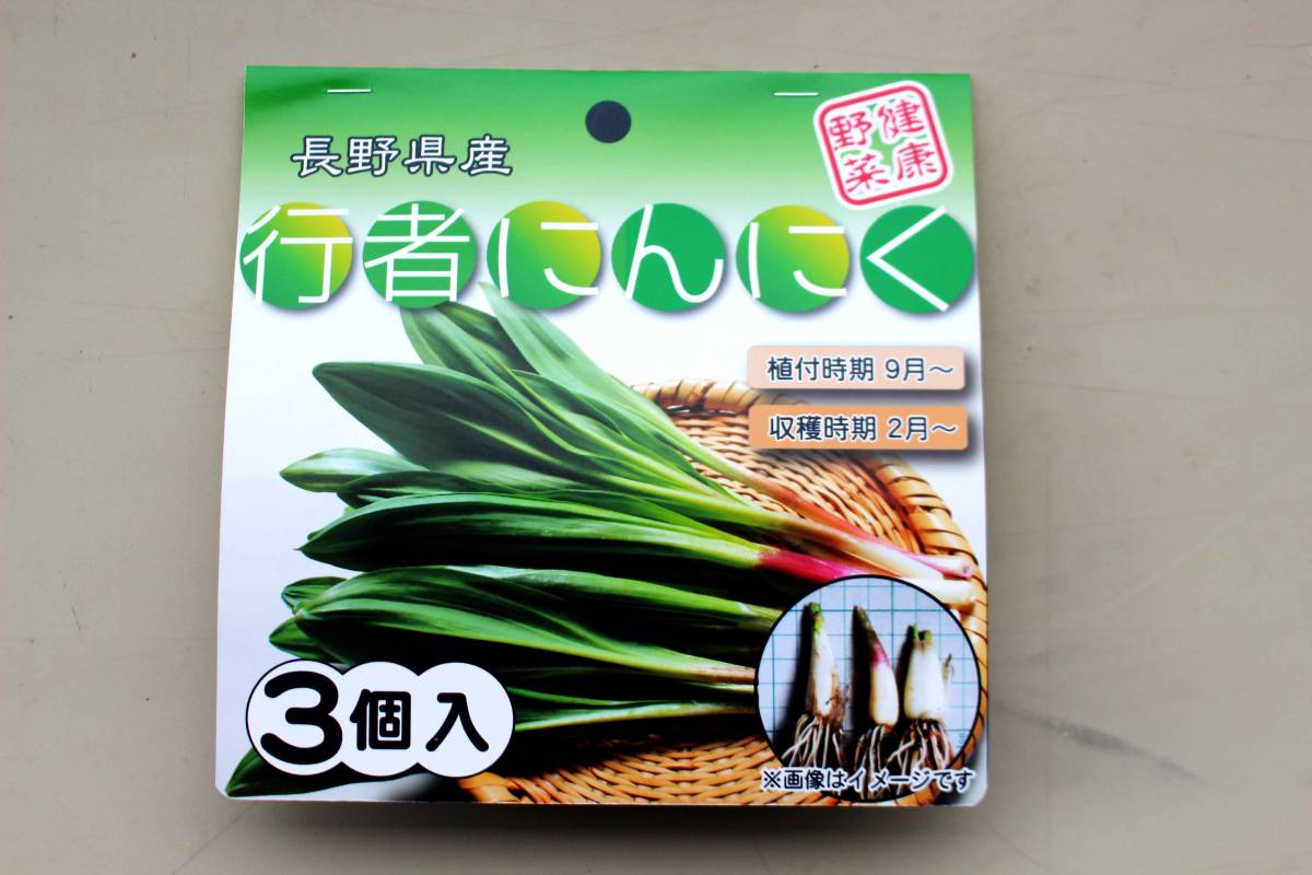 最大65%オフ! 北海道産行者にんにく苗500本 tlshs.com