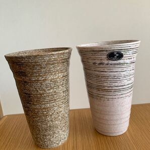 陶彩 雅刷毛 ペアタンブラー 有田焼