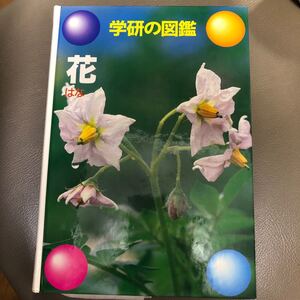 学研の学習図鑑です。自然科学の観察は楽しいだけではありません。