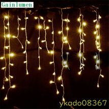 P2178: LEDストリングライト 5m クリスマス 屋外装飾 直送 庭 パーティー 220V 110V_画像1
