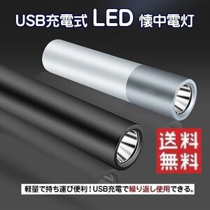 「2本セット」ポータブルLED式懐中電灯 ミニ懐中電灯 ミニライト ポータブルライト キャンプ 釣り 登山 ジョギング