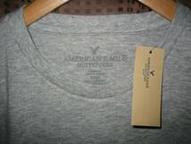 レア! 希少! 正規品 本物 新品 アメリカンイーグル クルーネック Tシャツ AMERICAN EAGLE ワイルド 大人の グレー シルエット綺麗 XS ( S_画像2