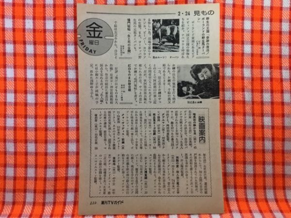 昭和レトロ 1983年 漫画集 一朗ミステリー 富永一朗 直筆サイン入り 本