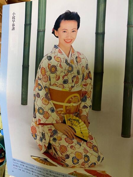 小紋着物 美しいきもの掲載柄 正絹