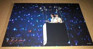 欅坂46 ポストカード Blu-ray 「欅坂46 LIVE at 東京ドーム ~ARENA TOUR 2019 FINAL~」 封入特典 E-5 櫻坂 渡邉理佐
