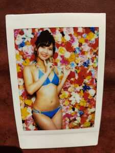  wistaria book@ south Cheki ( photograph )1