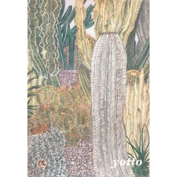 色鉛筆画「 サボテンの詰め合わせ 」A4・額付き◇◆手描き◇原画◆yotto◇50%OFF