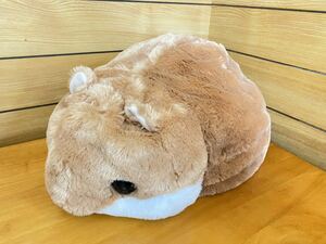 ころはむコロン　BIGぬいぐるみ ふわふわ　約35cm 非売品　プライズ品