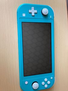 GWセール1000円引き ニンテンドーSwitch lite フリップケース、保護フィルム付き