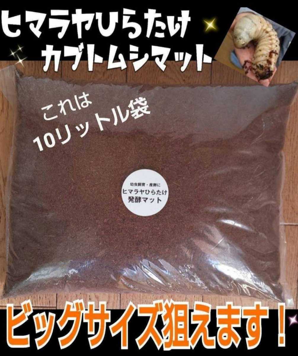 Yahoo!オークション -「ヒマラヤひらたけ菌床発酵マット」の落札 Yahoo!オークション -「ヒマラヤひらたけ菌床発酵マット」の落札